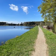 Mitten im Oberharzer Wasserregal