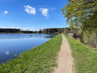 Mitten im Oberharzer Wasserregal