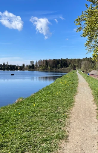 Mitten im Oberharzer Wasserregal