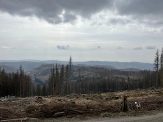 Aussicht vom "Acker" Richtung "Großer Knollen"