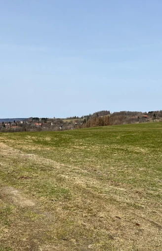 Blick über die Bergwiesen von Sankt Andreasberg