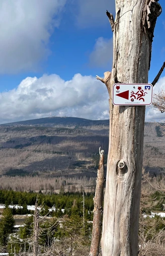 Blick vom Wurmberg zum Brocken