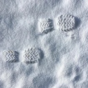 Spuren im Schnee