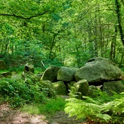 Großsteingräber am Vorgeschichtspfad