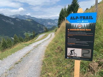 Alptrail Wiriehorn: Posten Linienwahl flache Kurve