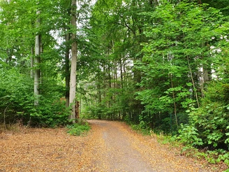 Rundwanderweg Zillierbachtalsperre