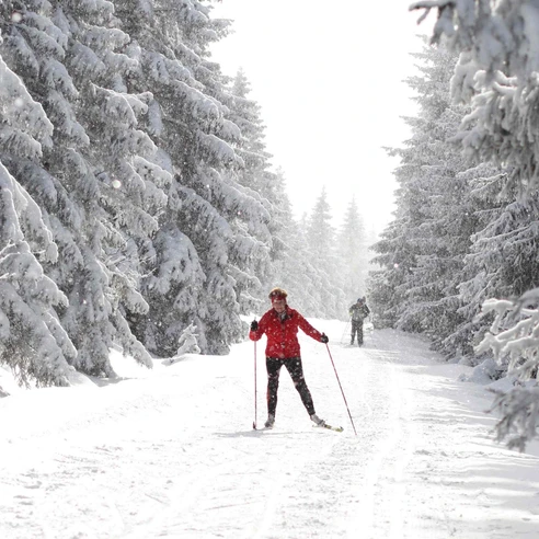 In der Oberharzer Loipe