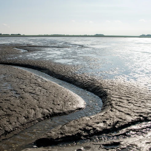 Wattlandschaft vor Wremen
