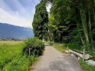 Weg am Waldrand bei Bönigen