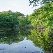 Ellernteich im Schlosspark