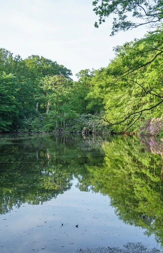 Ellernteich im Schlosspark