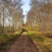 Dänikhorster Moor