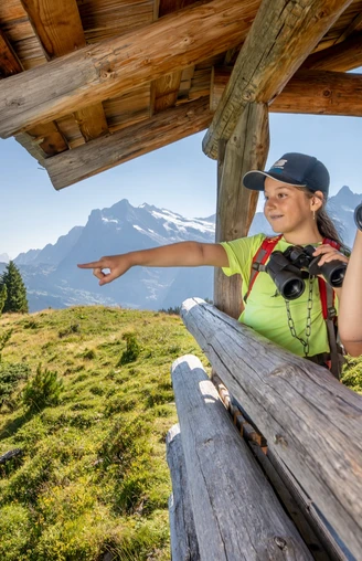 Lieselotteweg Männlichen