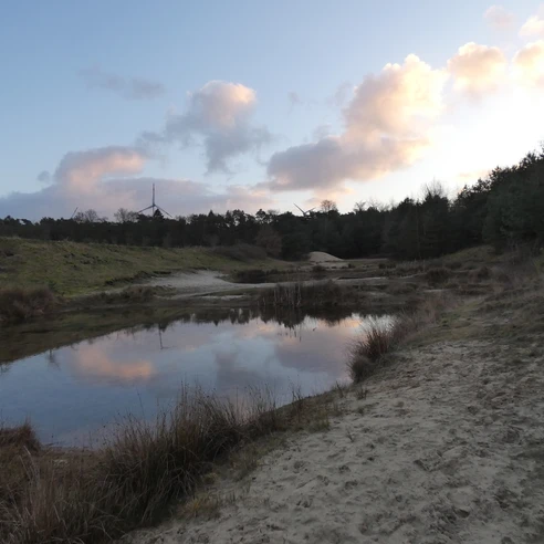 Landschaft Wanderweg De Geest up un daal
