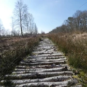 Auf dem Moorpad