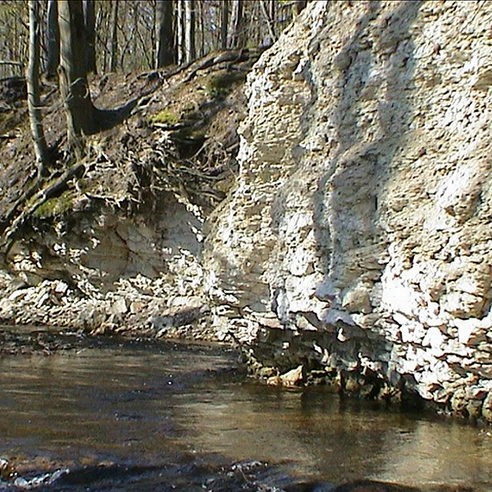 Karstgestein an der Ecker im Schimmerwald