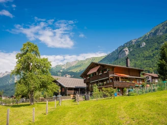 Wohnhäuser in Brienzwiler