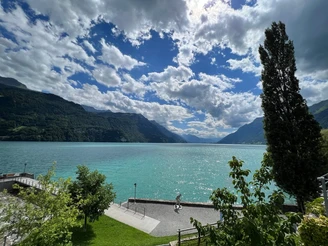 Ausblick auf den türkisfarbenen Brienzersee
