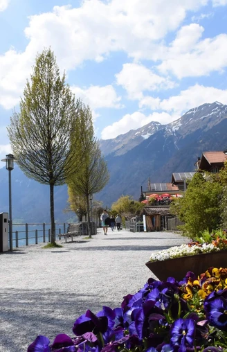 Seepromenade von Brienz mit Blumen