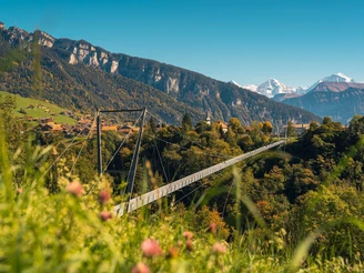 Hängebrücke bei Sigriswil
