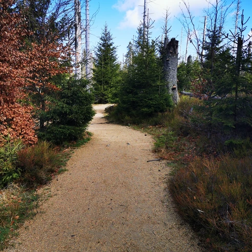 Wasserwanderweg Oderteich