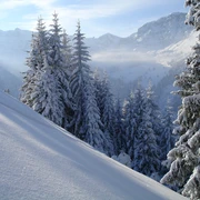 Grimmialp route