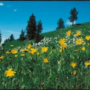 Über den Höreliweg