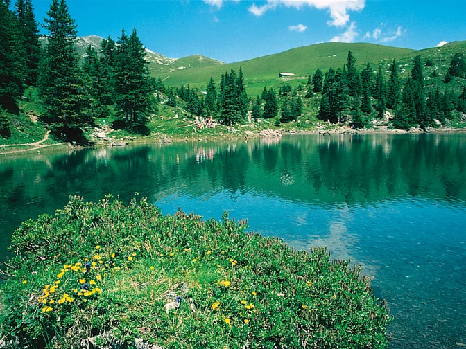 Golitschepass
