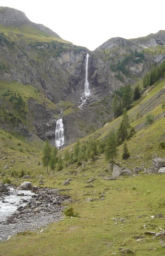 Geltenschuss