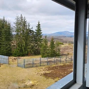 View from the observation tower