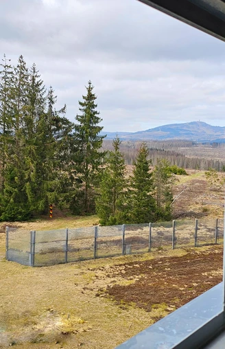 View from the observation tower