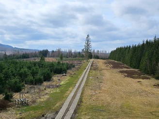 Kolonnenweg im Freiland-Grenzmuseum Sorge