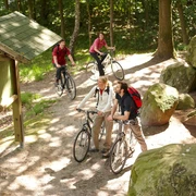 Großsteingräber Bruneforths Esch