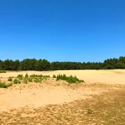 Lohner Sand