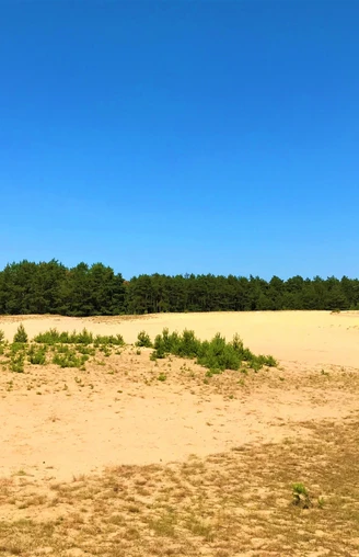 Lohner Sand