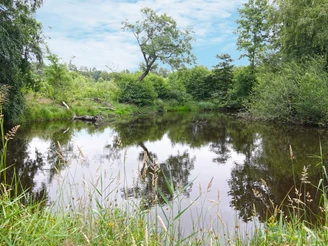 Naturschutzgebiet im Leiken