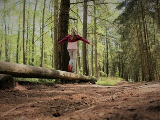 Wald-Sport-Pfad