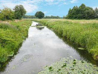 Nordradde in Berßen