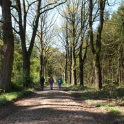Historische Straße