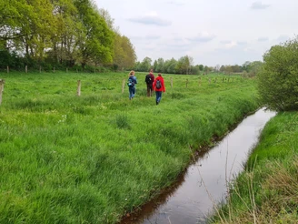 Niederlangen Kapellenmoorgraben