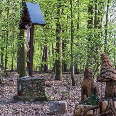 Fototour durch das Herzford und die Elberger Schlipse