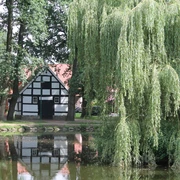 Dorfteich Vrees