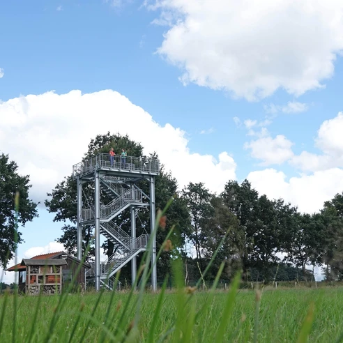 Naturerlebnis Vreeser Wiesen - Bockholter Dose - Aussichtsturm