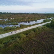 Naturreservat Bargerveen