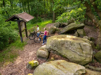 Großsteingrab auf Bruneforths Esch, Stavern – Radfahren Hümmling ©Emsland Tourismus GmbH (1)