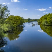 Borkener Paradies