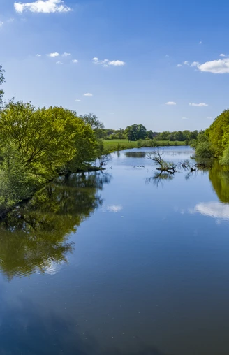 Borkener Paradies