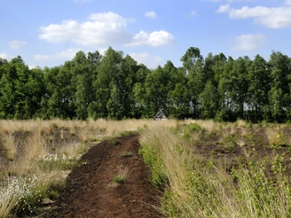 Lehrpfad ‘‘moor land schaffen – Erlebnis Wiedervernässung‘‘ im Provinzialmoor bei Twist ©Naturpark Moor-Veenland (8)