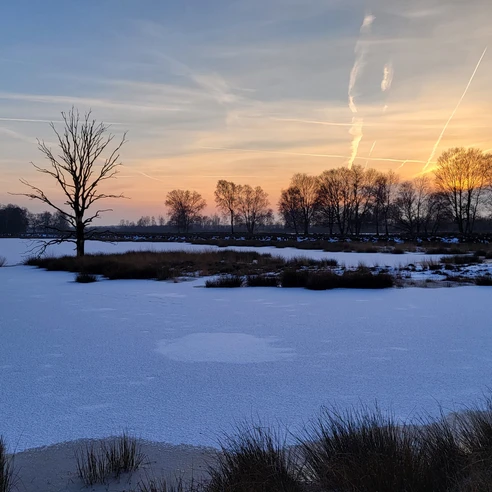Bargerveen im Winter