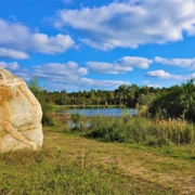 Findling im Naturpark Bourtanger Moor - Veenland